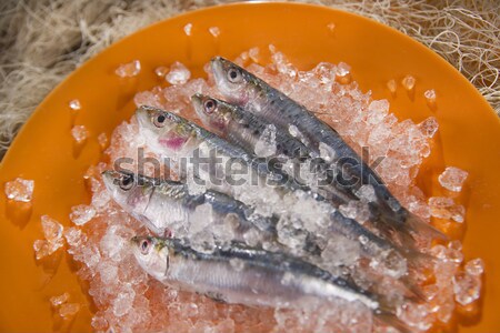 Fresh sardines  Stock photo © Fotografiche
