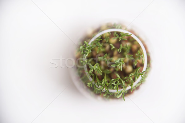 Kicsi lencse növényzet magok lencse üveg Stock fotó © Fotografiche