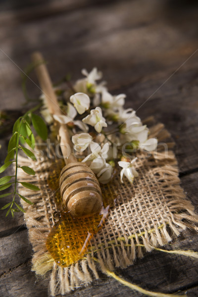 Stockfoto: Honing · presentatie · klein · bloem · voorjaar