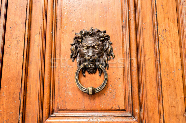 Wodden door with doorknocker Stock photo © fotoquique