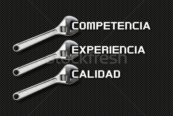 Wrench holds lettering quality, competence, experience Stock photo © fotoquique