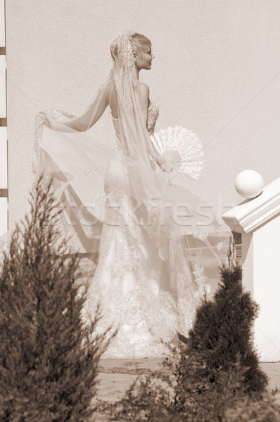 Stock photo: Bride With Fan