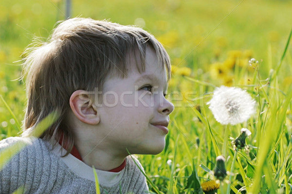 少年 タンポポ 草原 楽しむ 夏 ストックフォト © fotorobs