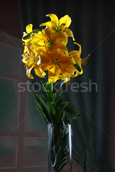ユリ スタジオ カラフル 花瓶 暗い 花 ストックフォト © fotorobs