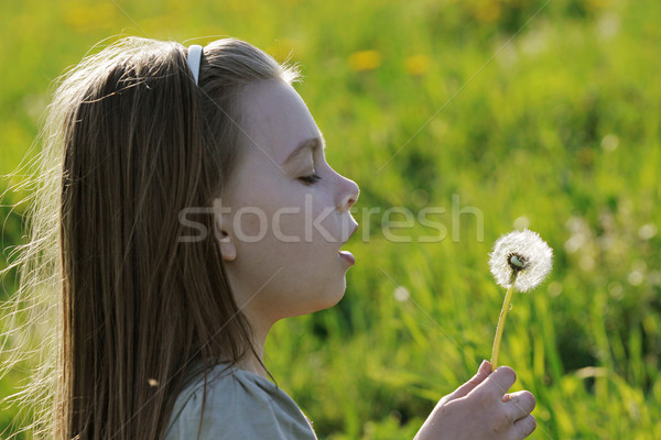 若い女の子 夏 日 いい 楽しむ 時間 ストックフォト © fotorobs