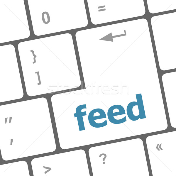 feed word on computer pc keyboard key Stock photo © fotoscool