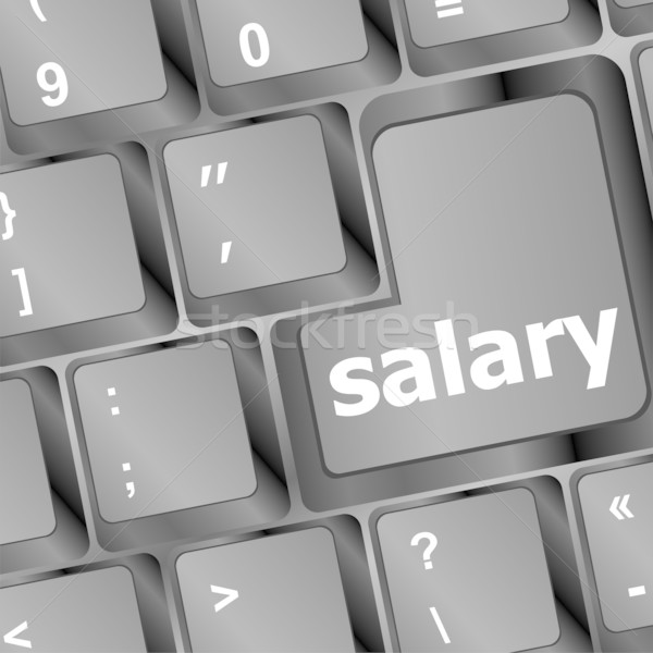 computer keyboard with salary button Stock photo © fotoscool