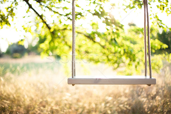 Balançar cordas grande árvore primavera grama Foto stock © FotoVika