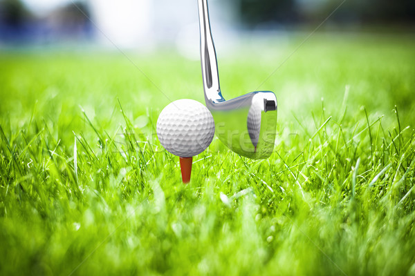 Joc golf frumos iarba verde iarbă sportiv Imagine de stoc © FotoVika