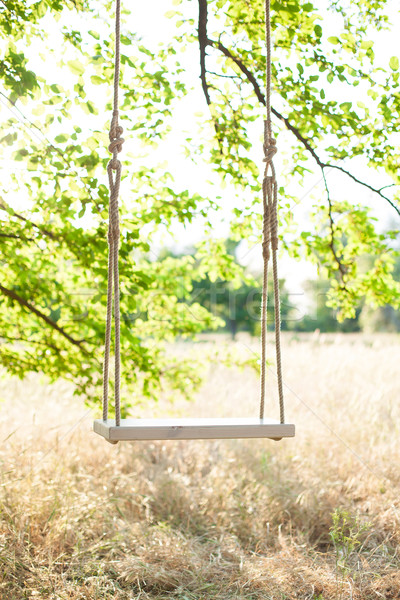 Swing touwen groot boom voorjaar gras Stockfoto © FotoVika