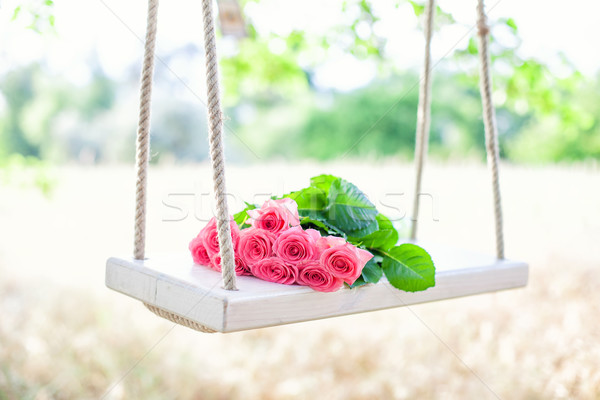 Blumen Swing schönen rosa Blume Gras Stock foto © FotoVika