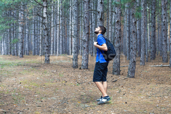 少年 リュックサック スタンド 森林 木材 ストックフォト © FotoVika