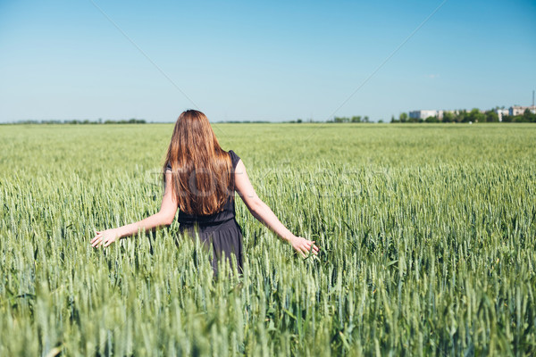 Girl in wheat Stock photo © FotoVika