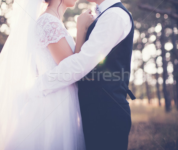 The wedding day Stock photo © FotoVika