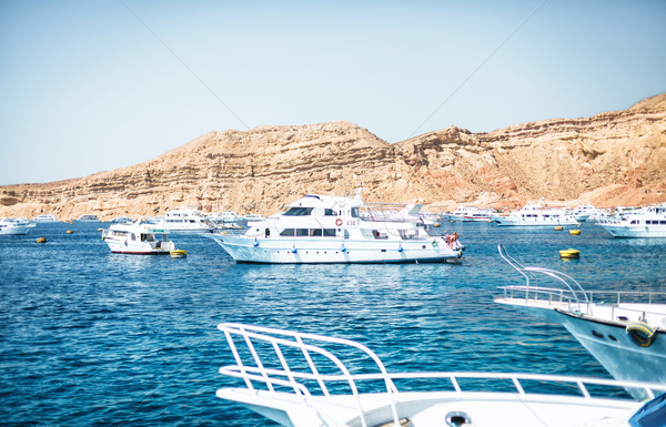 The yachts Stock photo © FotoVika