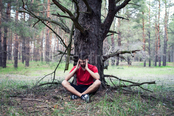 Junge Baum Angst Hände Hand Stock foto © FotoVika