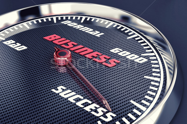 Successful business Stock photo © FotoVika