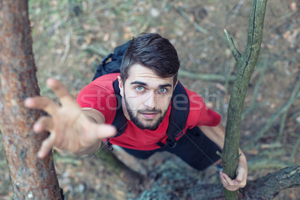 Menino mochila suporte árvore madeira Foto stock © FotoVika
