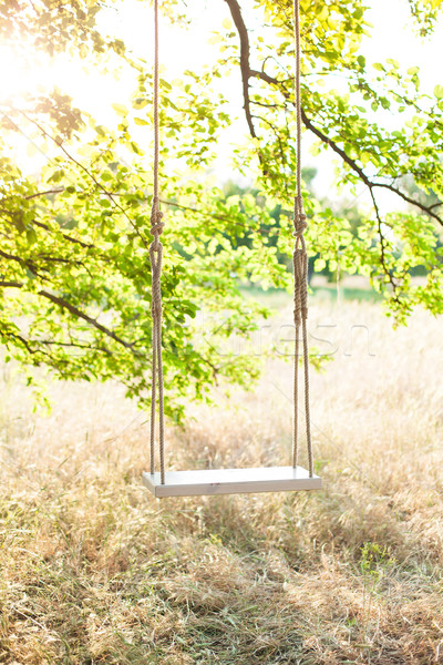 Swing cordes grand arbre printemps herbe [[stock_photo]] © FotoVika