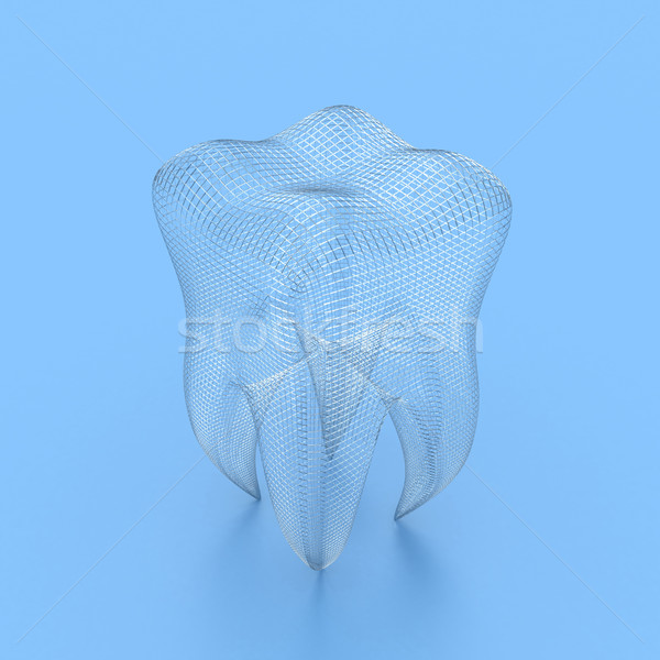 Menselijke tand illustratie structuur witte medische Stockfoto © FotoVika