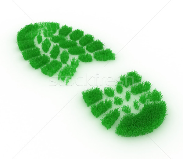 Huella hierba impresión forma blanco tierra Foto stock © FotoVika