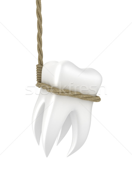 Human tooth Stock photo © FotoVika