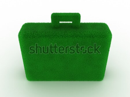 Briefcase Stock photo © FotoVika