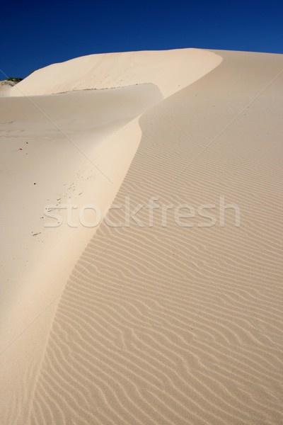 Dune de sable modèle effet vent ciel bleu plage [[stock_photo]] © fouroaks