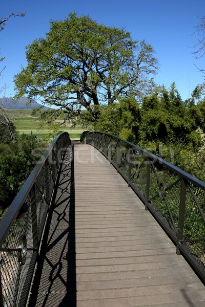 Pedestre ponte aço madeira árvore blue sky Foto stock © fouroaks