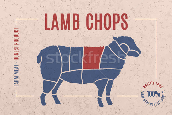 Label Fleisch Text Lamm kreative Grafik-Design Stock foto © FoxysGraphic