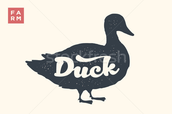 Duck. Lettering, typography Stock photo © FoxysGraphic