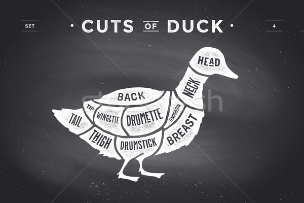 Cut of meat set. Poster Butcher diagram and scheme - Duck Stock photo © FoxysGraphic