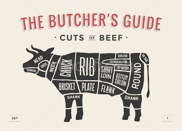 Cut of beef set. Poster Butcher diagram and scheme - Cow. Vintage typographic hand-drawn. Vector ill Stock photo © FoxysGraphic