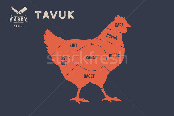 Meat cuts. Poster Butcher diagram - Tavuk Stock photo © FoxysGraphic