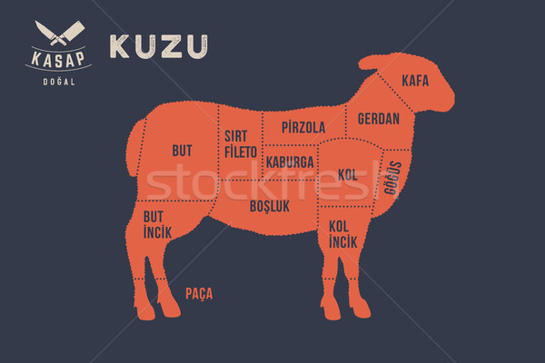 Meat cuts. Poster Butcher diagram - Kuzu Stock photo © FoxysGraphic