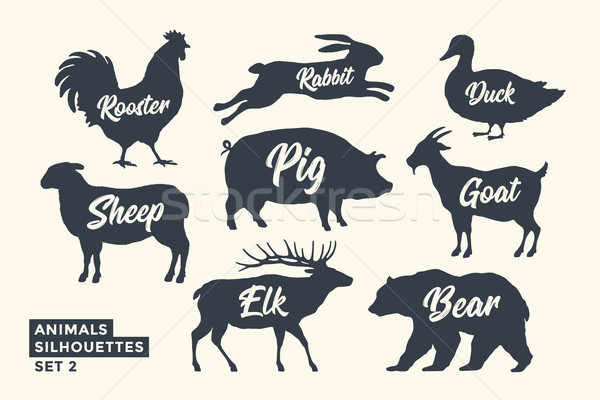 Animals silhouette set. Black-white silhouette of animals Stock photo © FoxysGraphic