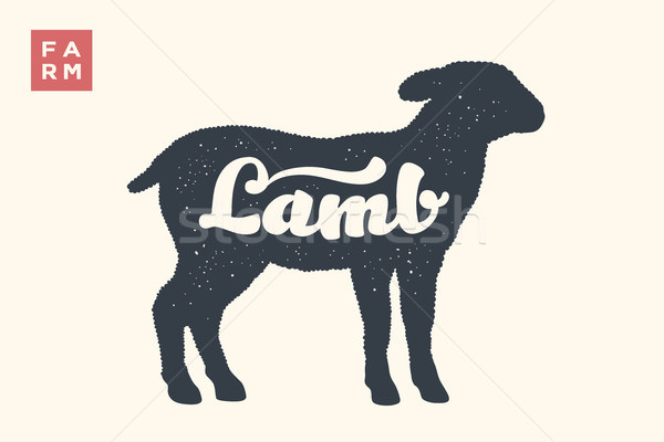 Stock fotó: Bárány · tipográfia · állat · birka · kreatív · grafikai · tervezés