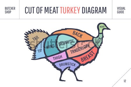 Cut of meat set. Poster Butcher diagram and scheme - Chicken Stock photo © FoxysGraphic