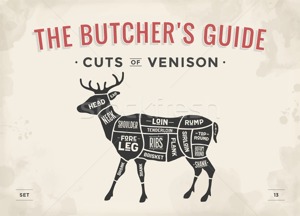 Stock photo: Cut of meat set. Poster Butcher diagram, scheme - Venison