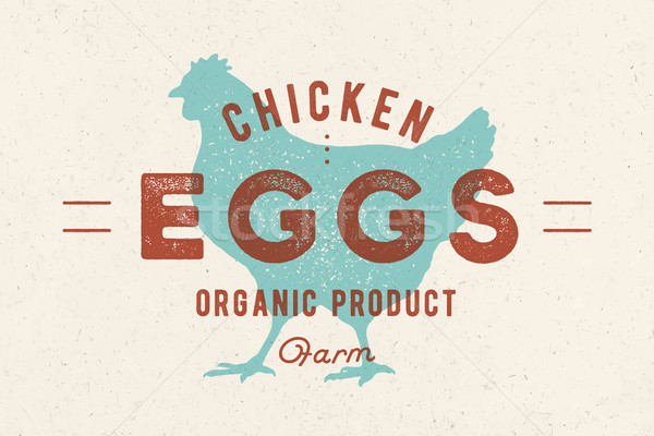 Chicken Eggs. Vintage hand drawn logo Stock photo © FoxysGraphic