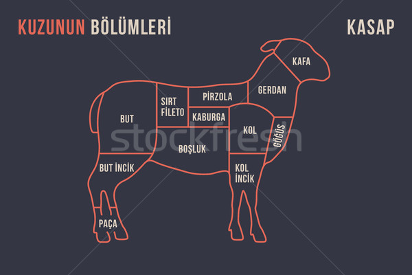 Carne poster macelar diagramă carne de miel Imagine de stoc © FoxysGraphic
