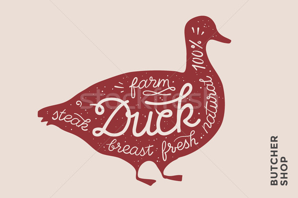 Illustration rouge canard silhouette mots [[stock_photo]] © FoxysGraphic