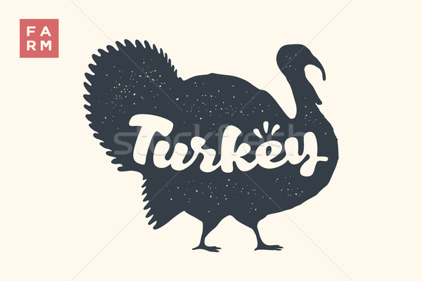 Turkey. Lettering, typography Stock photo © FoxysGraphic