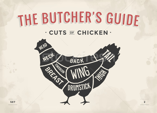 Cut of meat set. Poster Butcher diagram and scheme - Chicken. Vintage typographic hand-drawn. Vector Stock photo © FoxysGraphic