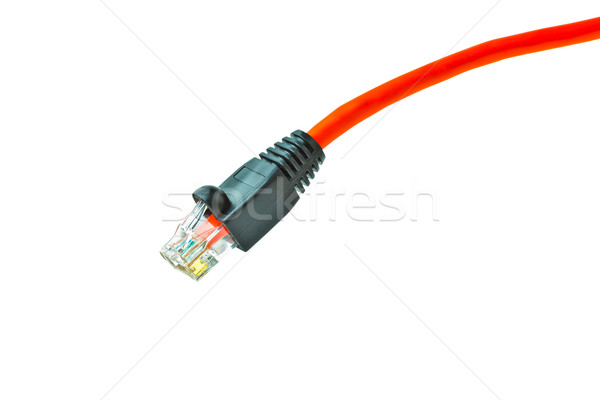 Lan Ethernet Kabel isoliert weiß Kommunikation Stock foto © FrameAngel
