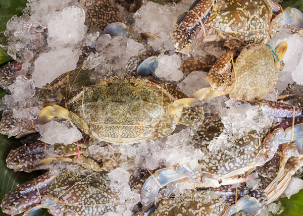 Fresh raw flower crab, blue crab on ice in market  Stock photo © FrameAngel