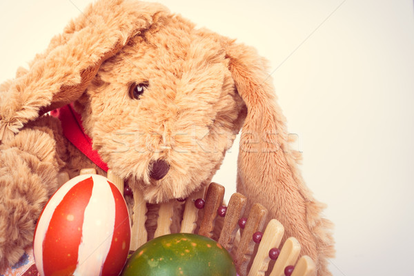 Rabbit, holding and take care colorful easter eggs in basket for Stock photo © FrameAngel
