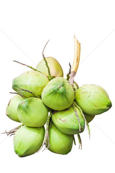 下载广告图样 商业照片 #4637142fruit; green coconut isolated on