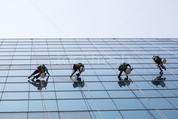 Foto d'archivio: Gruppo · lavoratori · pulizia · Windows · servizio · alto