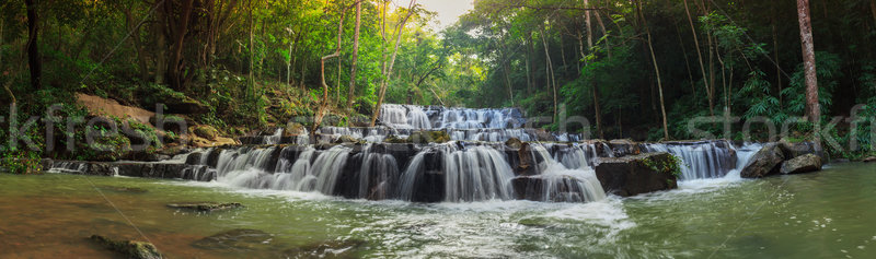 forest waterfall at National Park, Panorama Stock photo © FrameAngel